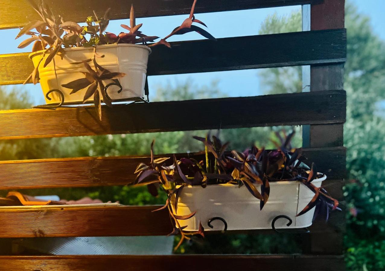 Anastasias Cottage ネア・イラクリア エクステリア 写真